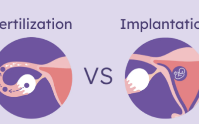 Implantation Symptoms: Signs of Successful Implantation